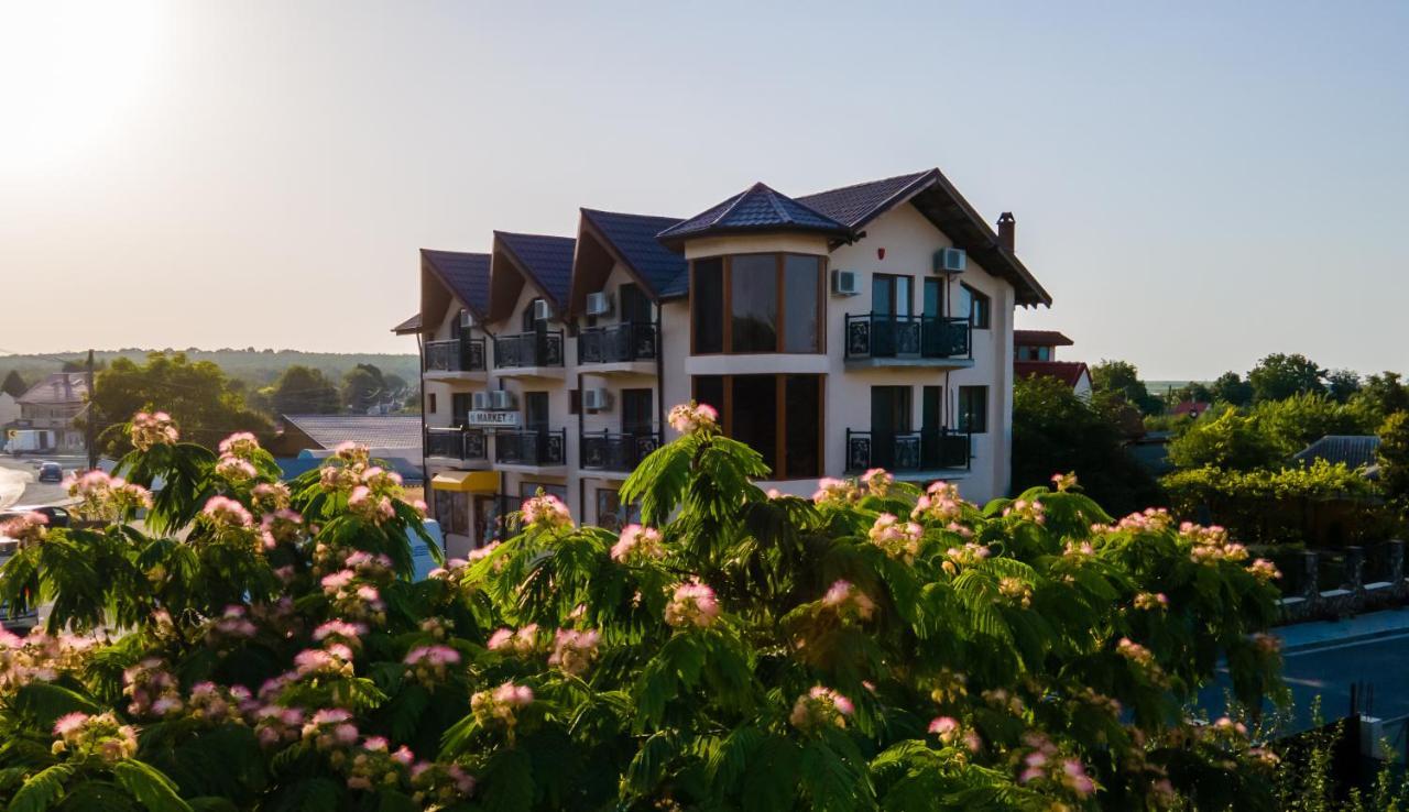 Casa Familia Vladoi Bed & Breakfast Murfatlar Bagian luar foto